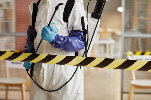 Professional Biohazard technician working in Bayville, NY